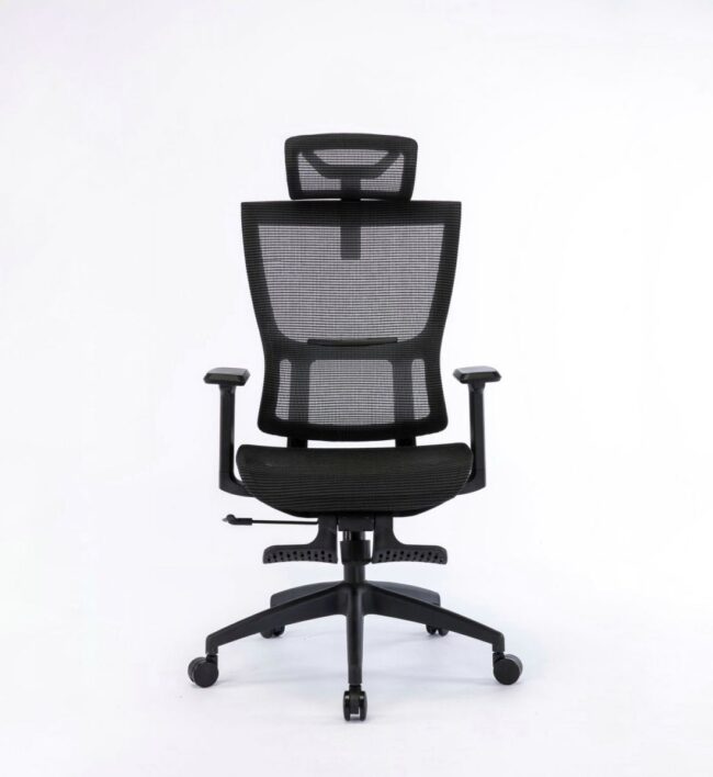 Ghế công thái học Ergonomic WARRIOR HERO Series WEC504 Black - Hình ảnh 2