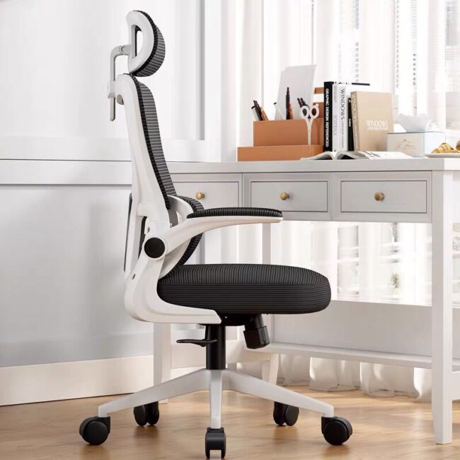 Ghế Công Thái Học Cao Cấp S05 Đen - Hình ảnh 5